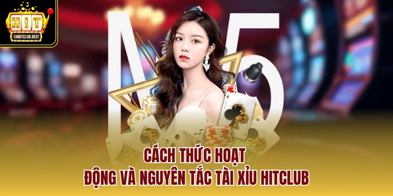 Cách thức hoạt động và nguyên tắc tài xỉu hitclub